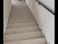 Izdavanje, poslovni prostor, 250m², Veternik, Novi Sad Sve Podlokacije - image 13