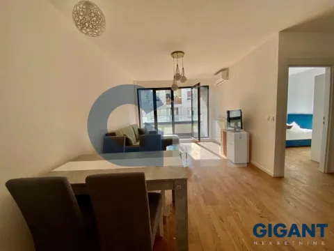 Prodaja, dvosoban stan, 46m², Višnjička Banja, Palilula Sve Podlokacije - image 7