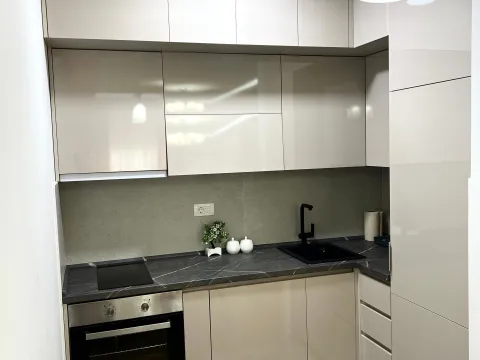 Rent, one bedroom apartment, 47m², Central Point, Podgorica - image 5