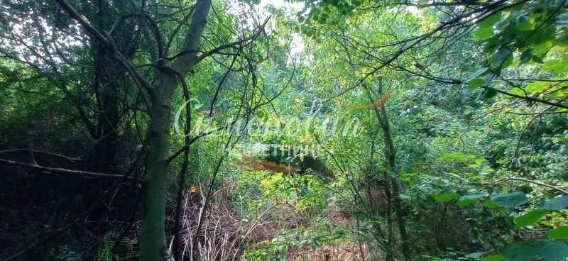 Prodaja, plac, 850m², Surčin, Beograd