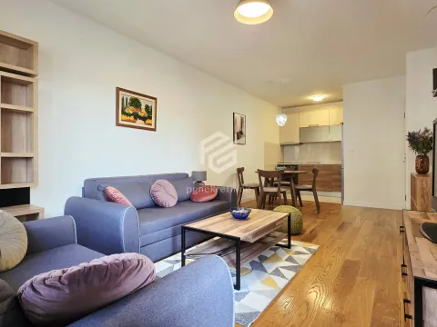 Rent, one bedroom apartment, 49m², Central Point, Podgorica - image 5