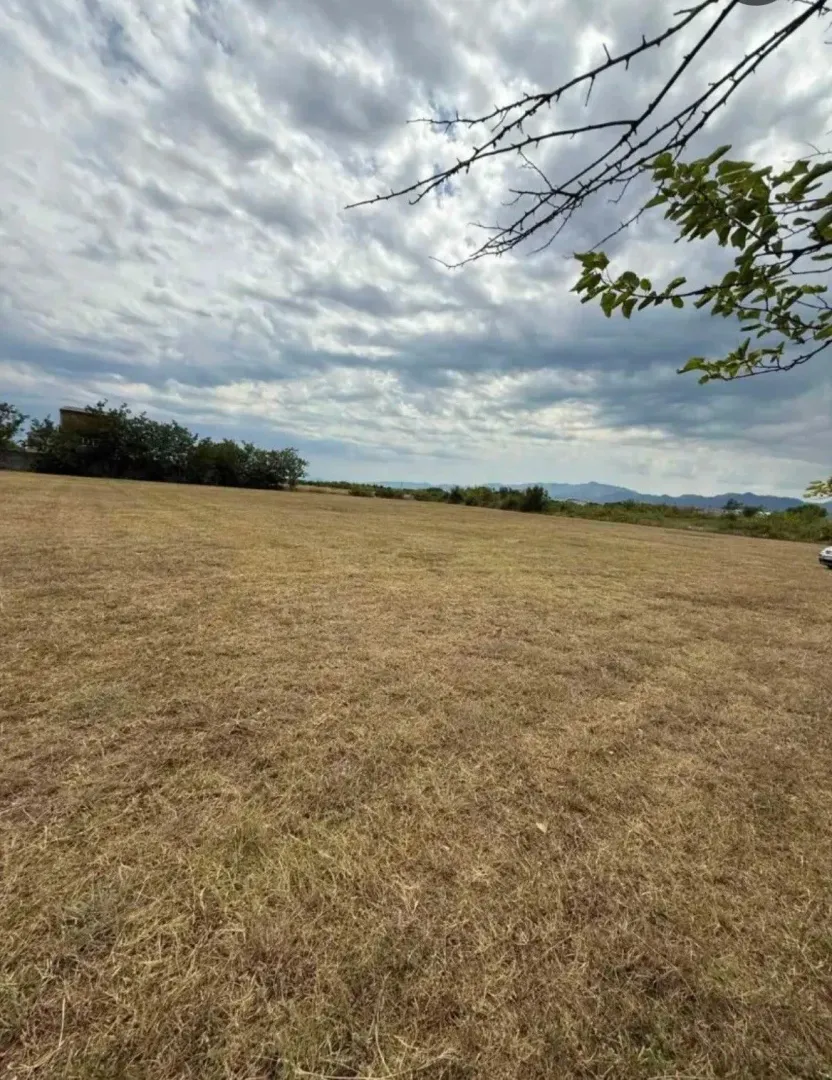 Prodaja, plac, 4929m², Golubovci, Podgorica