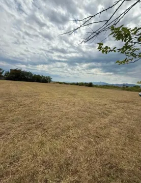 Prodaja, plac, 4929m², Golubovci, Podgorica - image 5
