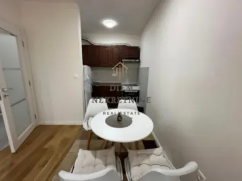 Izdavanje, jednosoban stan, 47m², Central Point, Podgorica - image 8