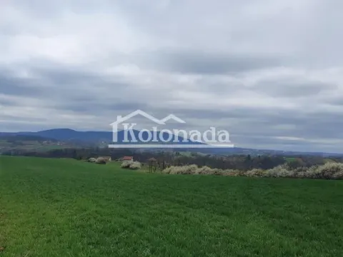 Prodaja, plac, 19669m², Mladenovac, Beograd - image 4