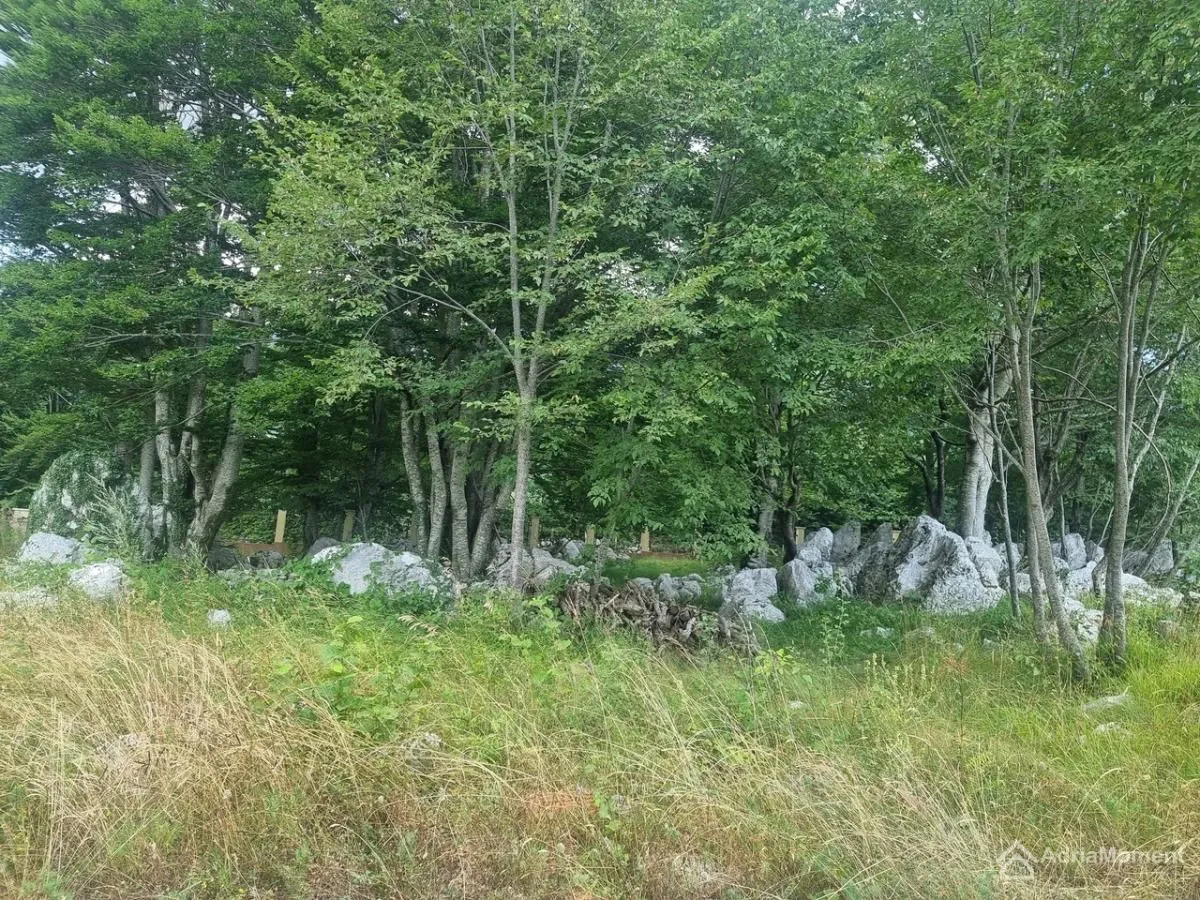 Prodaja, kuća, 278m², Kruševice, Herceg Novi