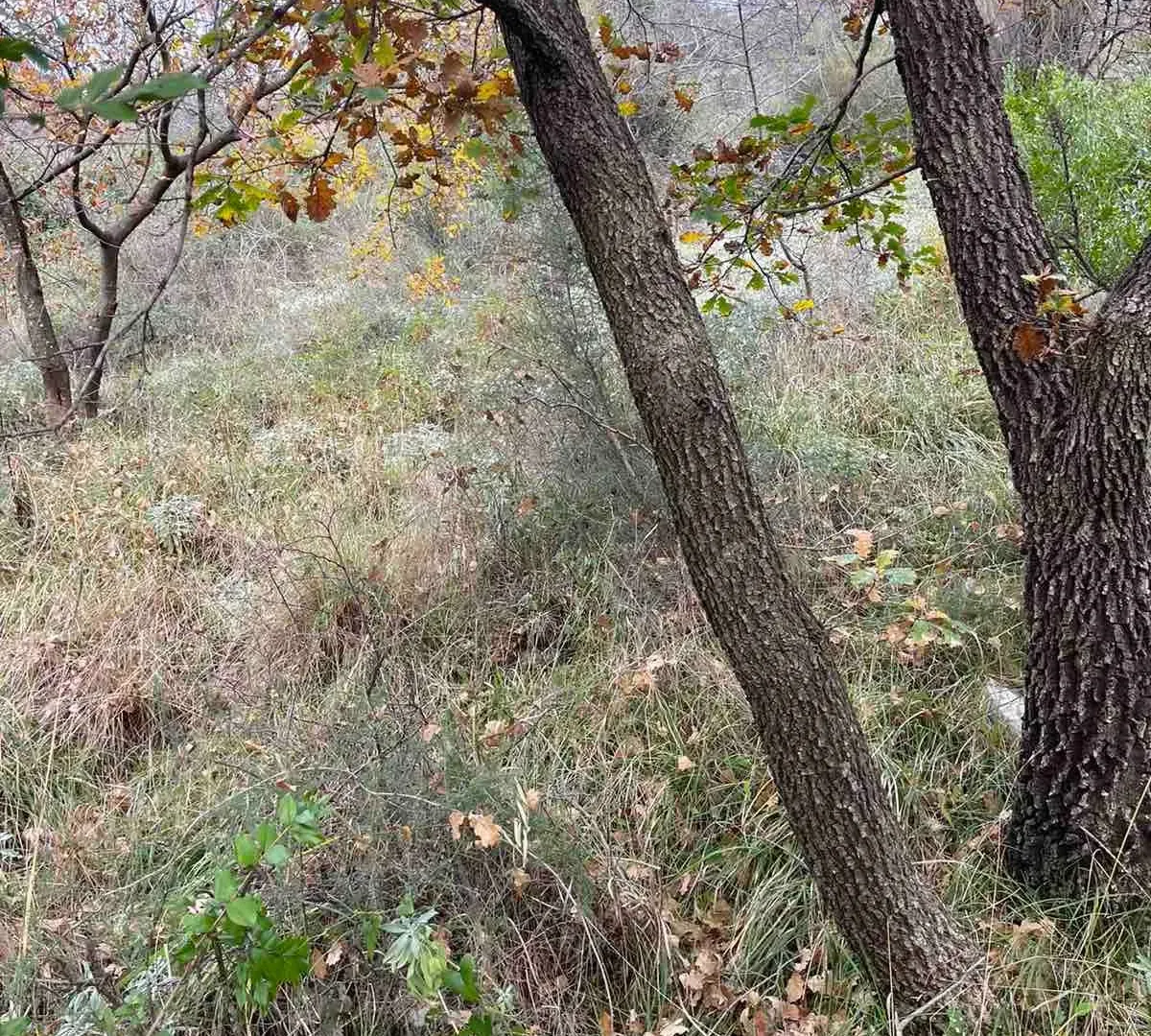 Prodaja, plac, 558m², Herceg Novi, Crna Gora