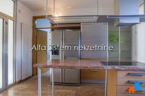 Izdavanje, četvorosoban stan, 222m², Tašmajdan, Palilula Sve Podlokacije - image 5