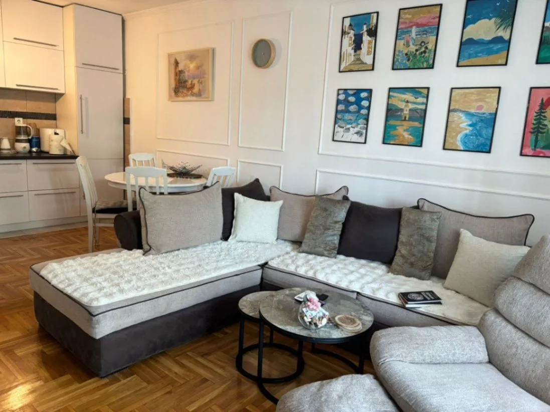 Rent, one bedroom apartment, 47m², Krivi Most, Podgorica