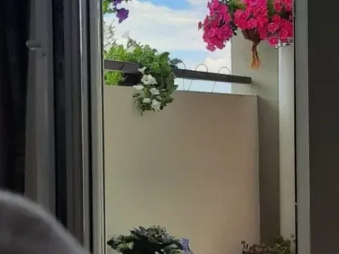 Izdavanje, jednosoban stan, 49m², Vezirov Most, Podgorica - image 7