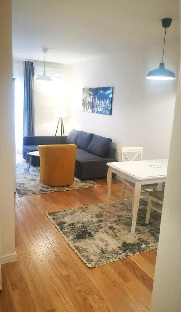 Izdavanje, jednosoban stan, 43m², Central Point, Podgorica
