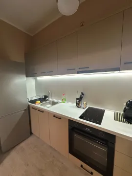 Moderna kuhinja sa ugrađenim elementima i tehnikom. - image 11