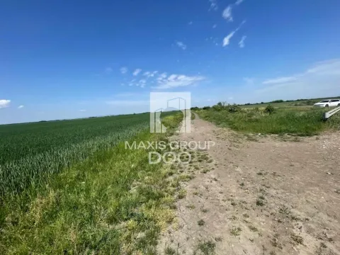 Prodaja, plac, 110000m², Šimanovci, Pećinci - image 5