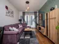 Rent, one bedroom apartment, 50m², Tološi, Podgorica - image 3