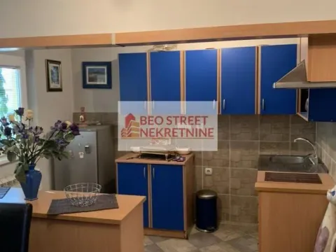 Prodaja, kuća, 370m², Kosmaj, Sopot - image 3