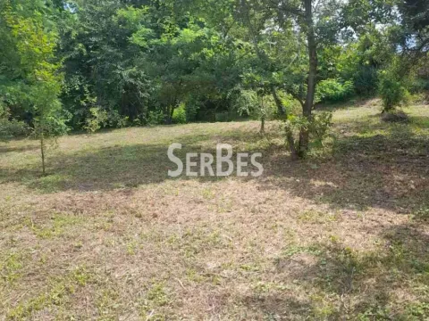 Sale, land lot, 3859m², Čerević, Beočin - image 2