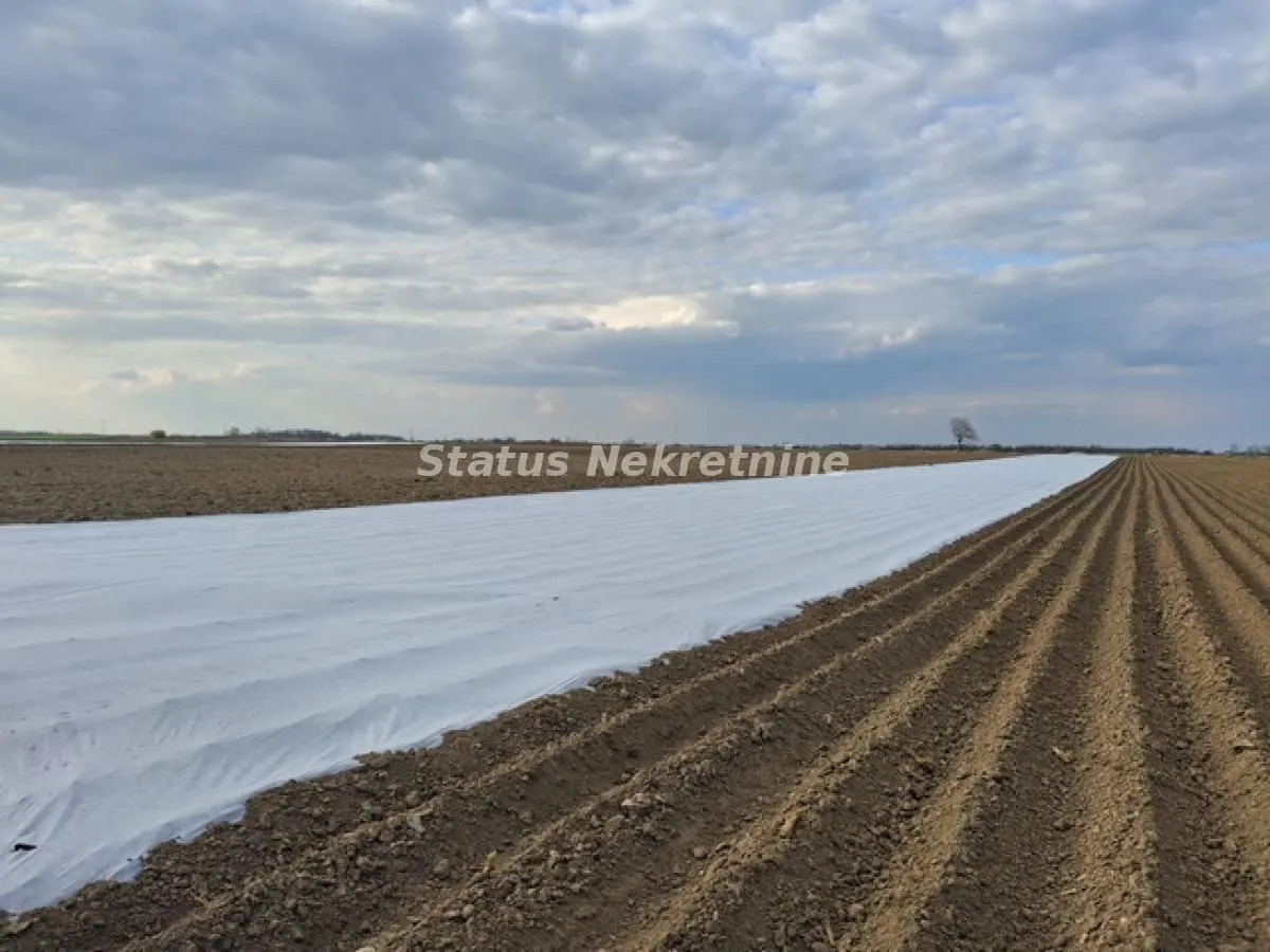 Prodaja, plac, 12710m², Futog, Novi Sad Sve Podlokacije