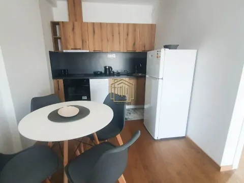 Izdavanje, jednosoban stan, 59m², Stara Varoš, Podgorica - image 10