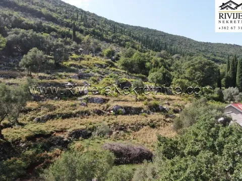 Prodaja, plac, 4323m², Žvinje, Herceg Novi - image 2