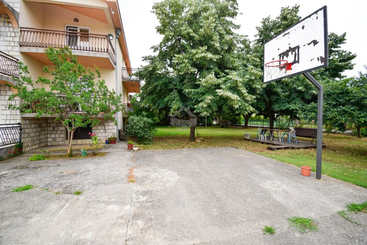 House yard with a basketball hoop and greenery.
