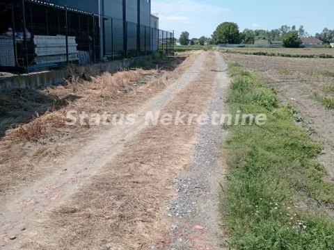 Prodaja, plac, 6917m², Novi Sad, Srbija - image 6