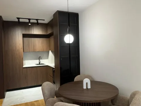 Izdavanje, jednosoban stan, 43m², Central Point, Podgorica - image 8