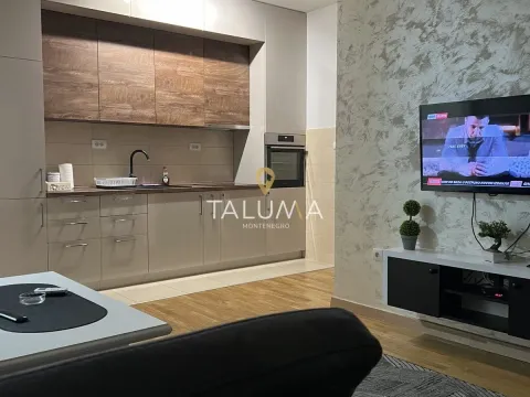 Izdavanje, jednosoban stan, 54m², Centar, Podgorica - image 2