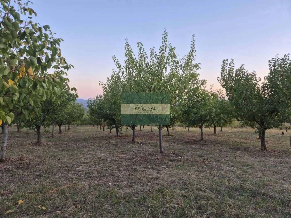 Prodaja, plac, 27920m², Siokovac, Jagodina