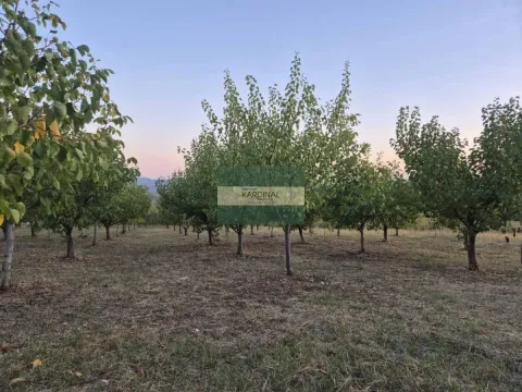 Prodaja, plac, 27920m², Siokovac, Jagodina - image 5