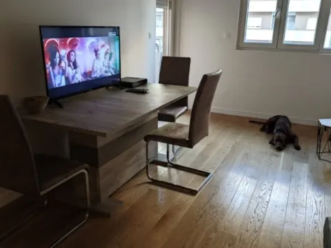 Izdavanje, jednosoban stan, 51m², City Kvart, Podgorica - image 2