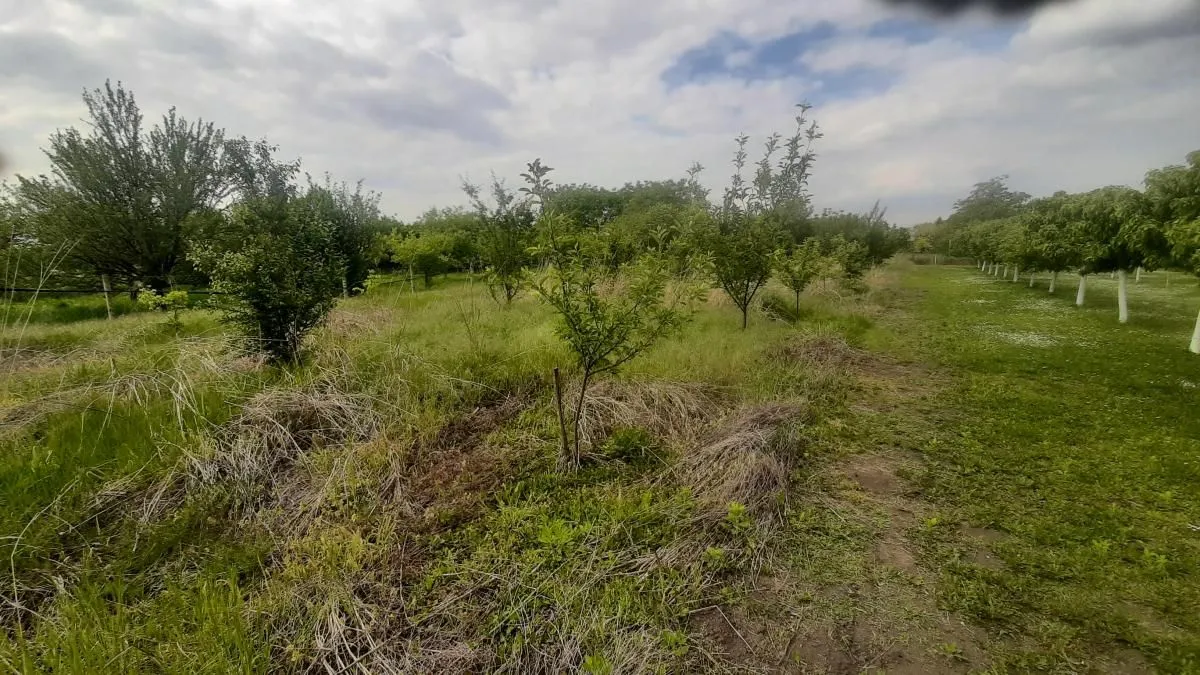 Prodaja, kuća, 205m², Vrbas, Novi Sad