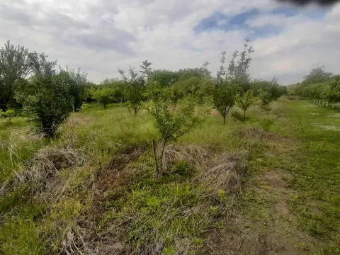 Prodaja, kuća, 205m², Vrbas, Novi Sad - image 26