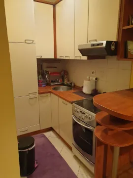 Mala funkcionalna kuhinja sa svijetlim elementima i drvenom radnom pločom. - image 4