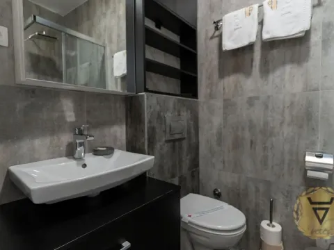 Izdavanje, jednosoban stan, 43m², Južni Bulevar, Vračar Sve Podlokacije - image 12