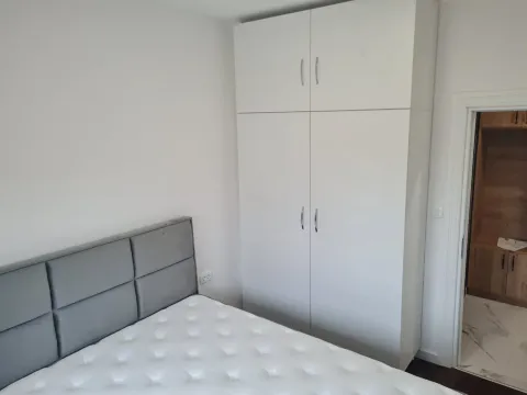 Rent, one bedroom apartment, 59m², Central Point, Podgorica - image 931