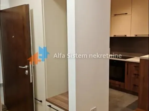 Izdavanje, dvosoban stan, 57m², Novi Beograd Sve Podlokacije, Beograd - image 5