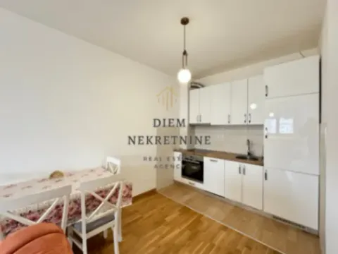 Izdavanje, jednosoban stan, 50m², Stari Aerodrom, Podgorica - image 10