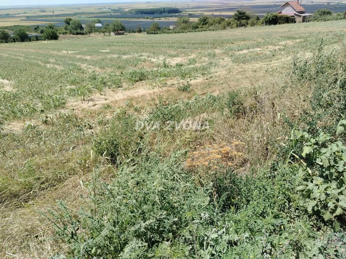 Prodaja, plac, 12300m², Novi Slankamen, Inđija