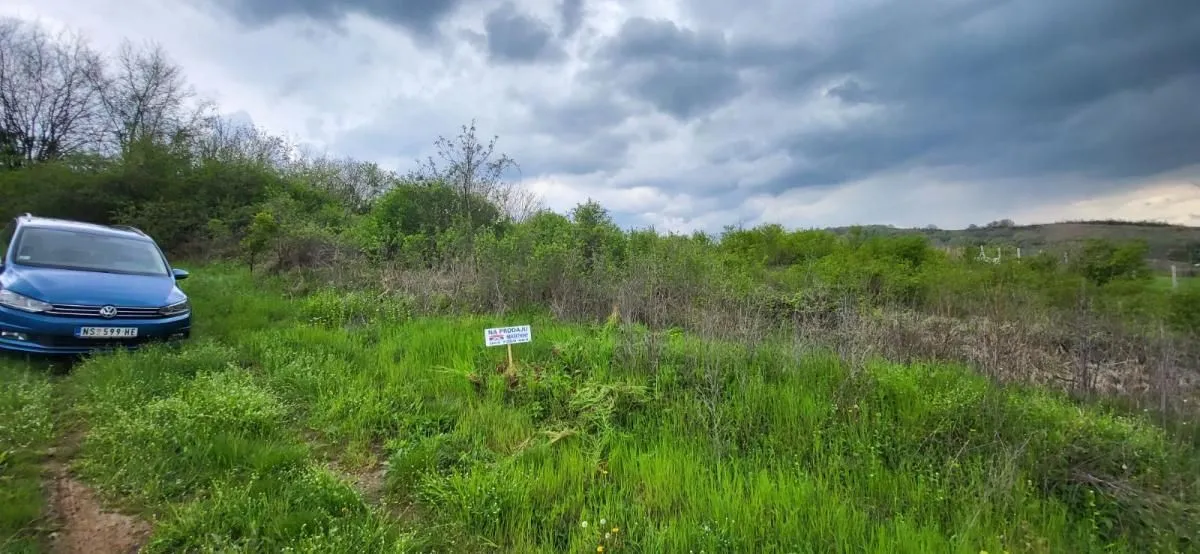 Sale, land lot, 2800m², Beočin, Srbija