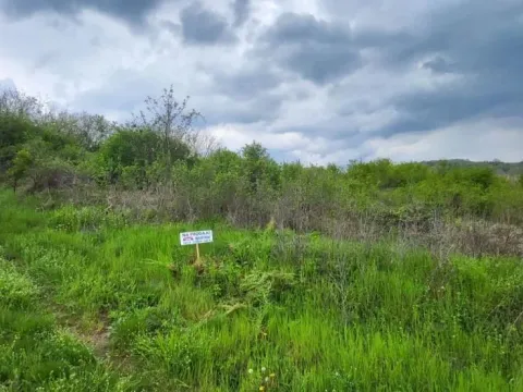 Prodaja, plac, 2800m², Beočin, Srbija - image 12