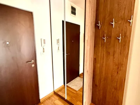 Izdavanje, jednosoban stan, 45m², City Kej, Podgorica - image 7