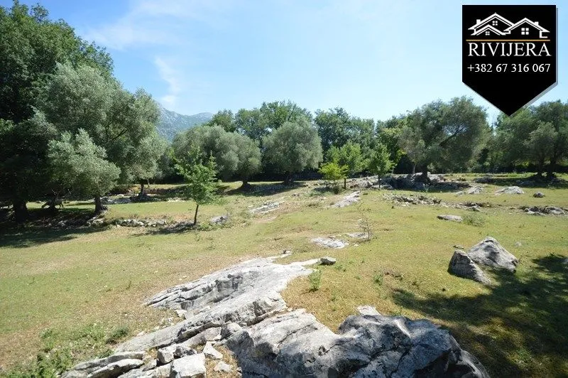 Prodaja, plac, 19000m², Podi, Herceg Novi