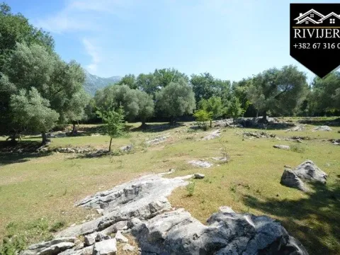 Prodaja, plac, 19000m², Podi, Herceg Novi - image 7