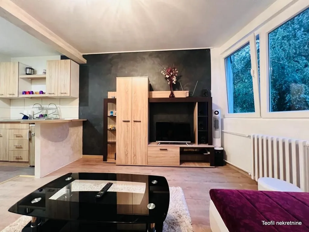 Izdavanje, garsonjera, 26m², Miljakovac 2, Miljakovac Sve Podlokacije