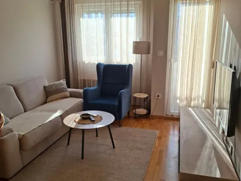 Rent, one bedroom apartment, 41m², Zabjelo, Podgorica - image 2