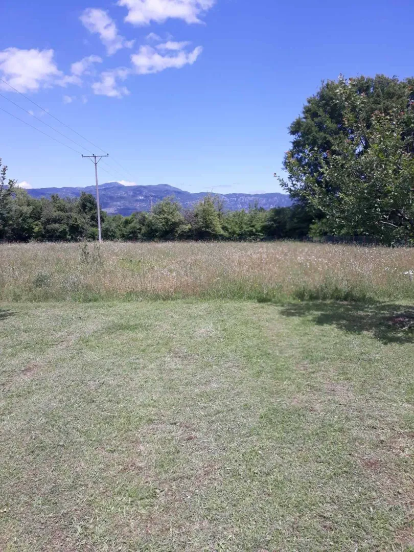 A view of a green yard and meadow with trees in the background.