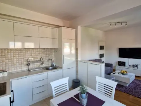 Izdavanje, jednosoban stan, 41m², Stari Aerodrom, Podgorica - image 6