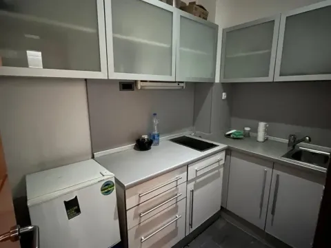 Izdavanje, poslovni prostor, 201m², Botanička Bašta, Palilula Sve Podlokacije - image 8