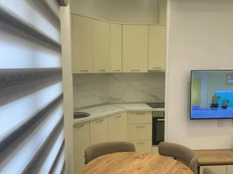 Izdavanje, jednosoban stan, 55m², Zagorič, Podgorica - image 4