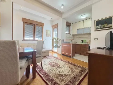 Izdavanje, jednosoban stan, 40m², Preko Morače, Podgorica - image 6